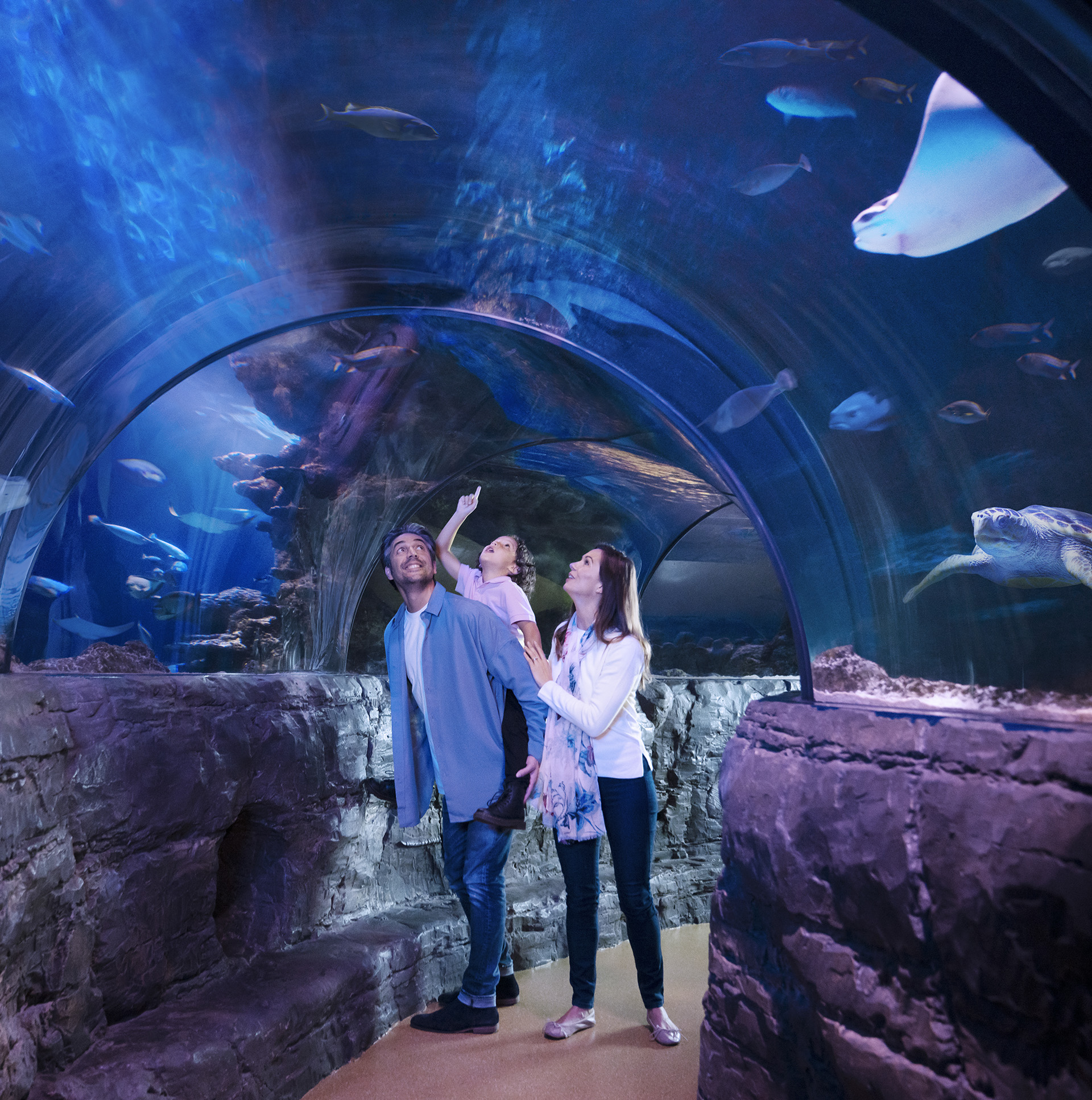 Ocean Tunnel at SEA LIFE London Aquarium
